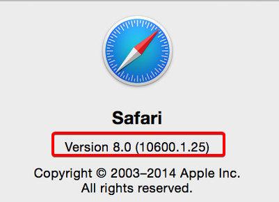 Safari Version Image